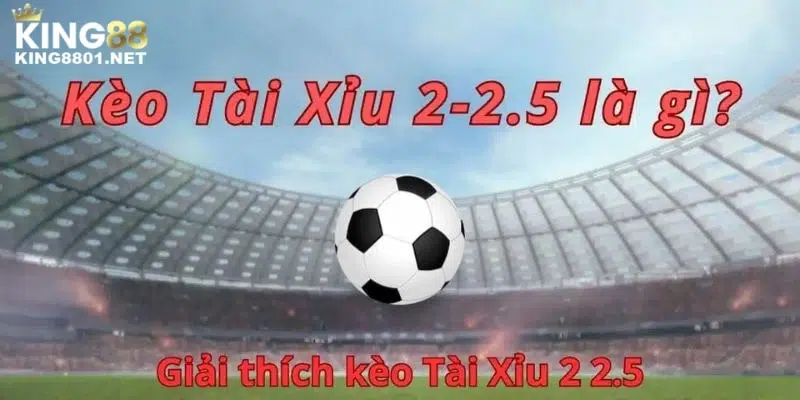 Tài xỉu 2-2.5 là gì? Bỏ túi các tuyệt chiêu chọn kèo hiệu quả từ chuyên gia Tài xỉu 2-2.5 là gì? Bỏ túi các tuyệt chiêu chọn kèo hiệu quả từ chuyên gia